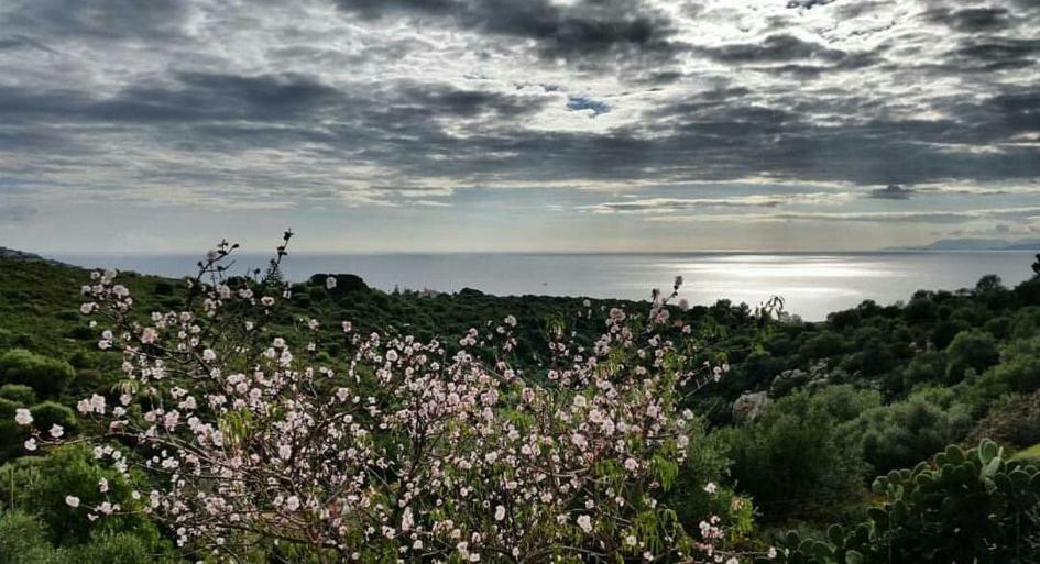 Salmagilandia Hotel Terra Mala Kültér fotó