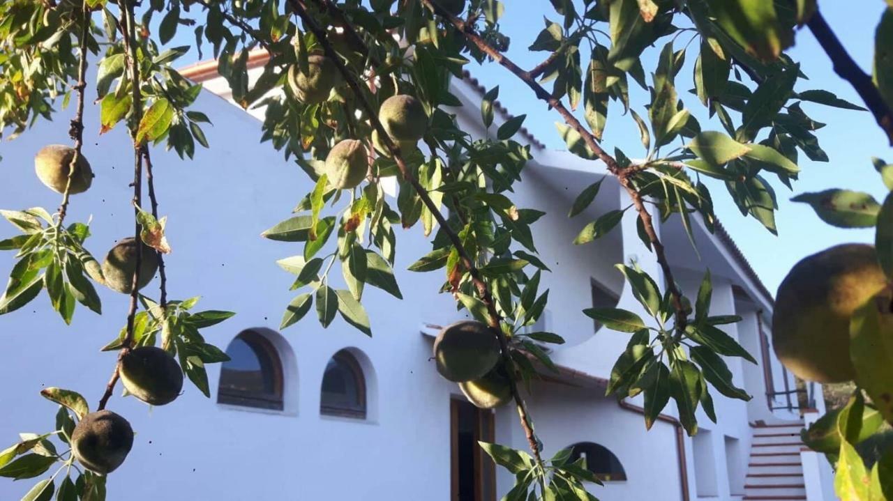Salmagilandia Hotel Terra Mala Kültér fotó